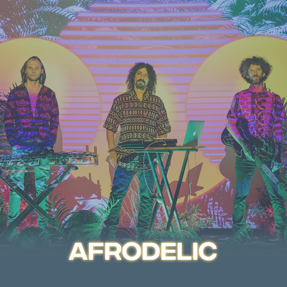 Afrodelic @HOFAS